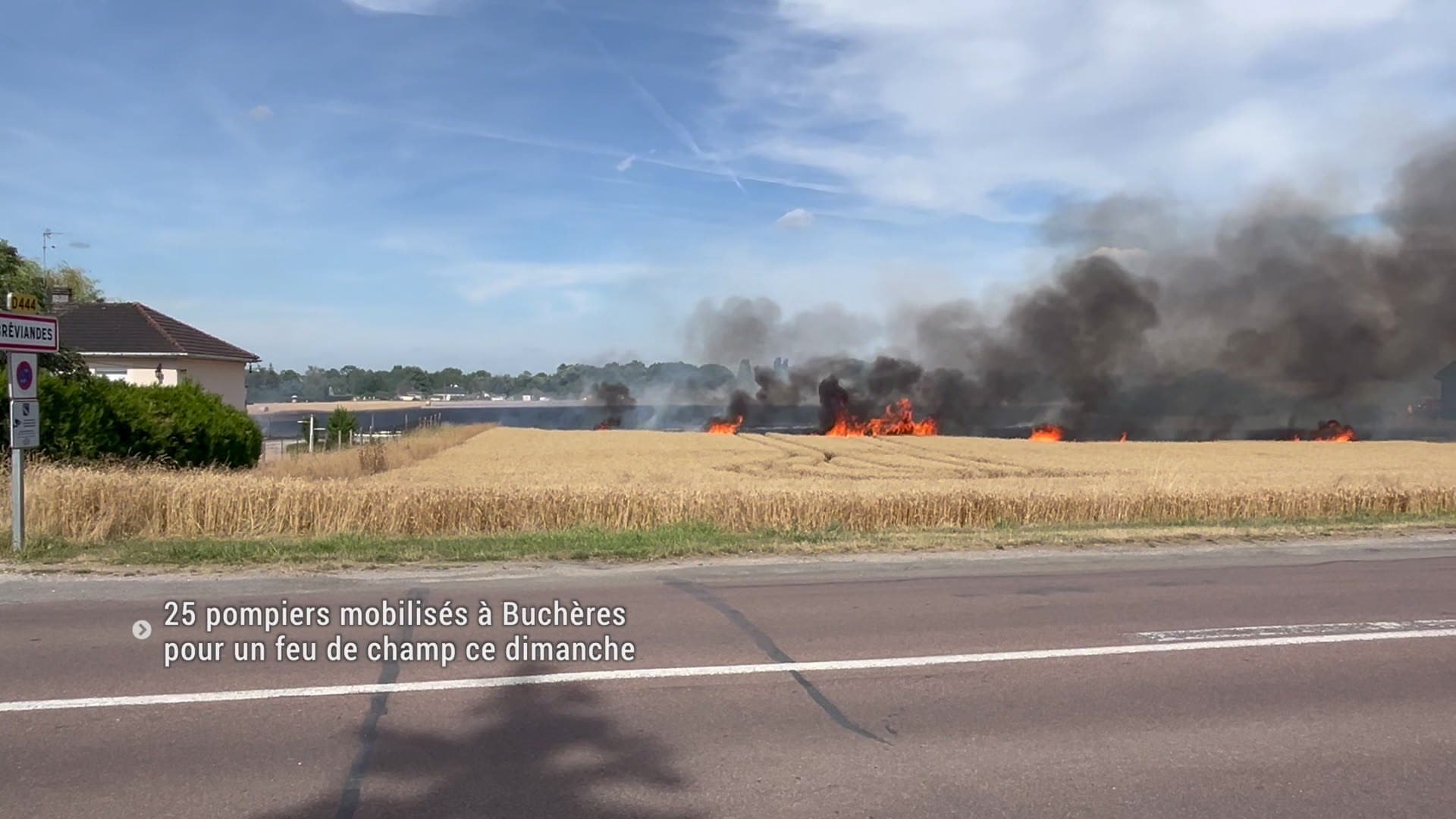 Champ de céréales en feu avec flammes et épais panache de fumée noire, vu depuis une route