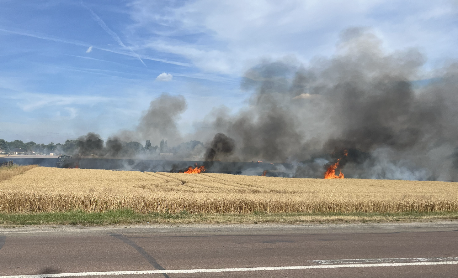 Incendies dans l'Aube : le président de la Chambre d'agriculture apporte son soutien aux exploitants touchés
