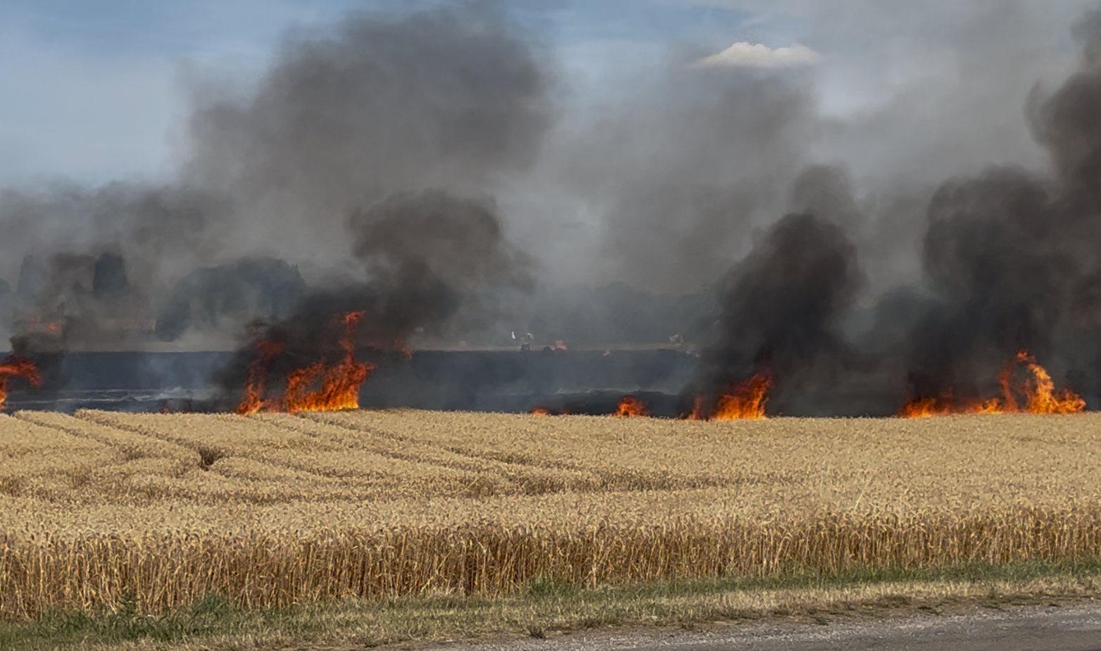 Incendies dans l'Aube : un arrêté préfectoral interdit les moissons aux heures les plus à risque