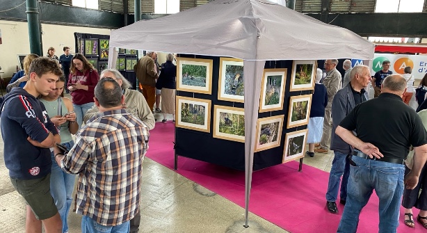 Salon artistique en Armance Chaource : une galerie d'art à la campagne