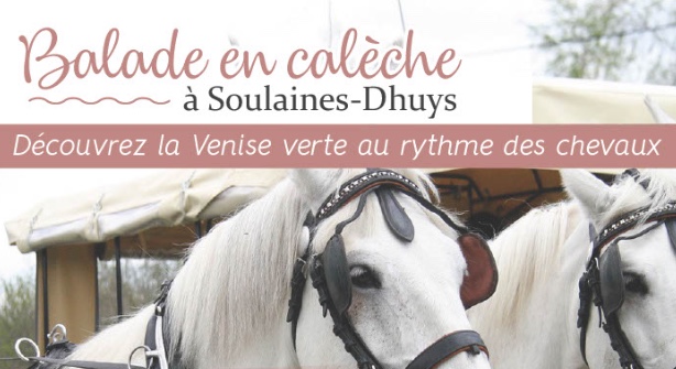Brienne-le-Château, Soulaines-Dhuys... Le point sur les balades en calèche