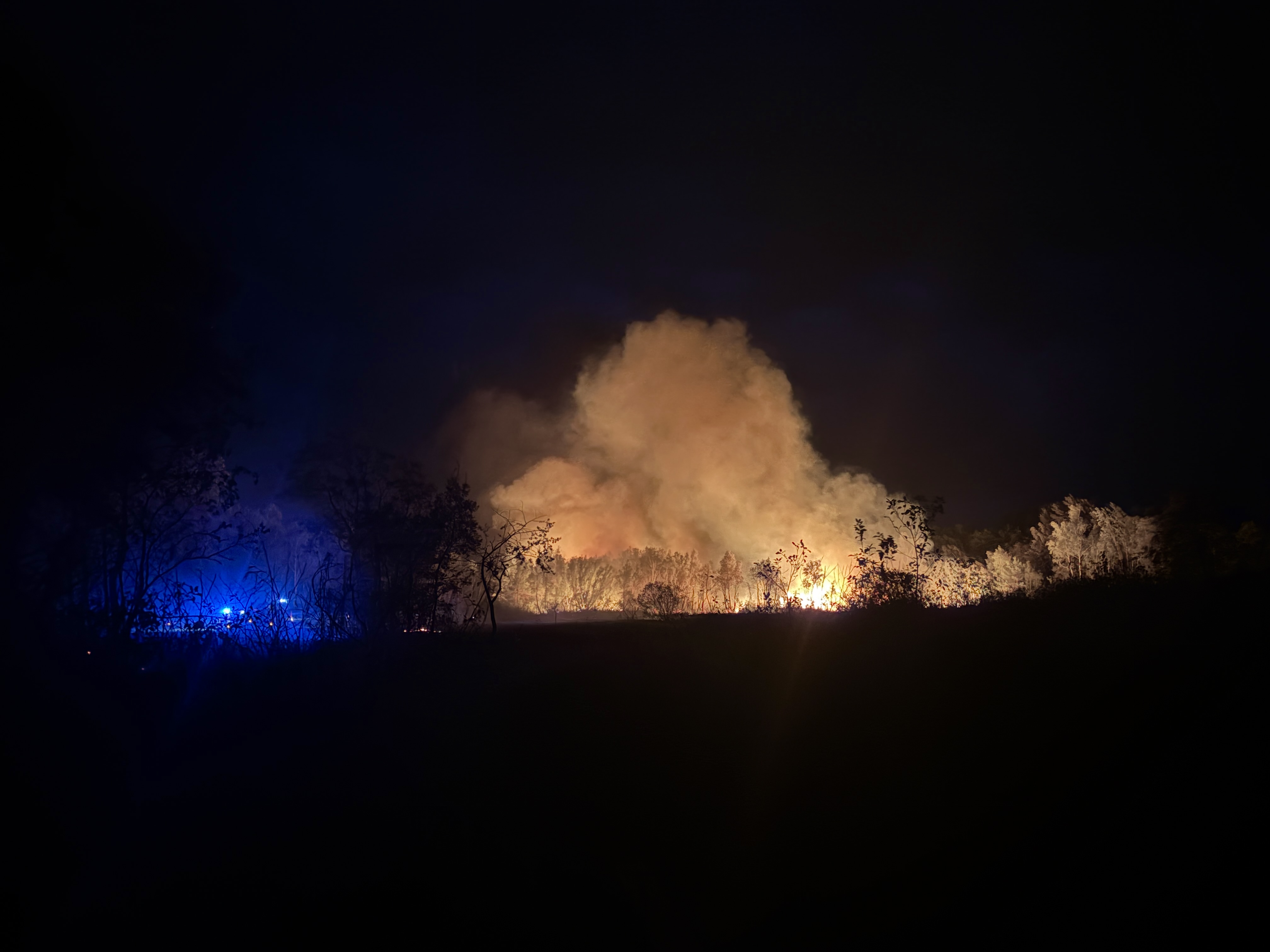 Clérey : six hectares brûlés dans l’incendie des Ballastières