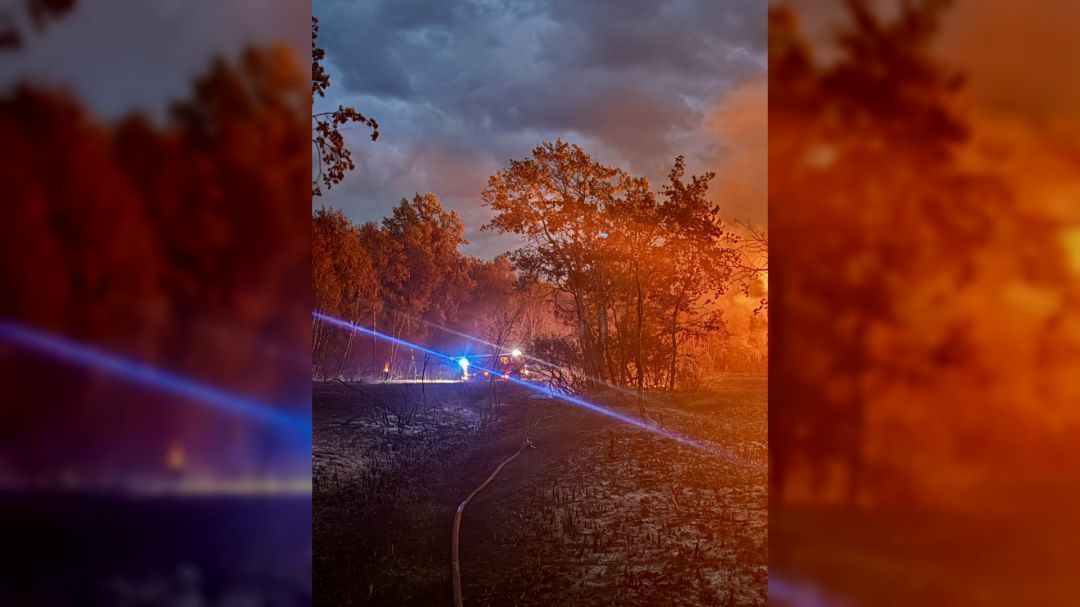 Lance à incendie projetant un jet d'eau bleu vers des arbres embrasés, végétation calcinée au sol