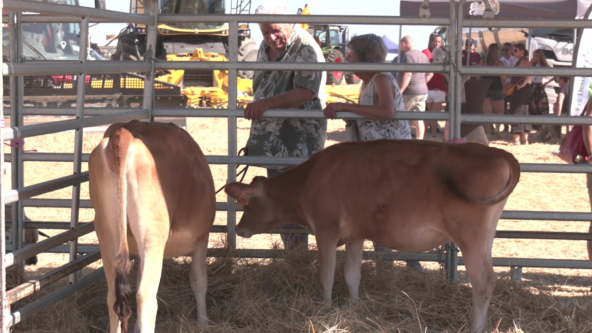 Près de 8000 visiteurs à la fête de l'agriculture 2026