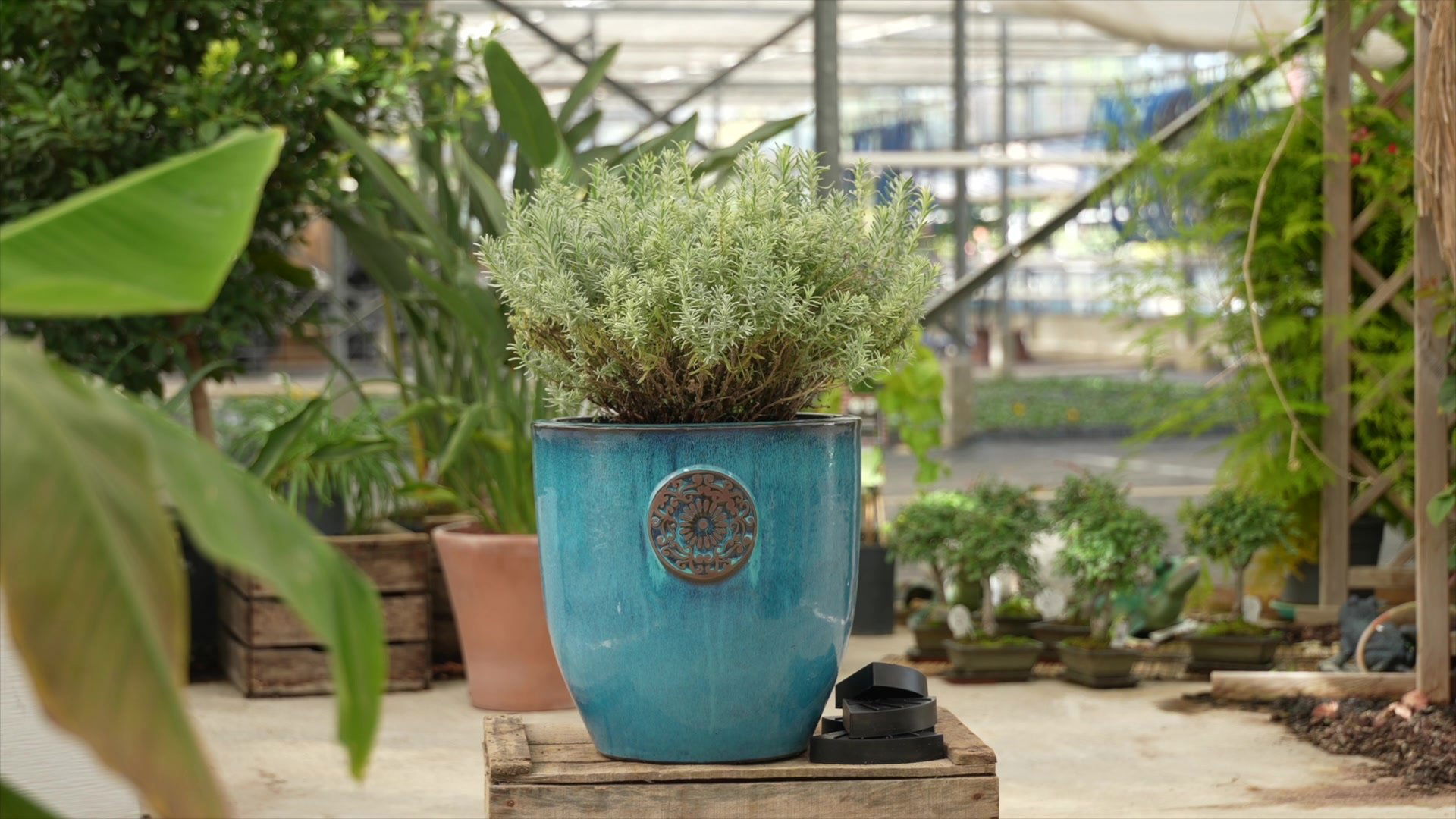 Cales plastiques noires demi-rondes posées sur une caisse en bois brut, à côté d'un pot émaillé bleu turquoise