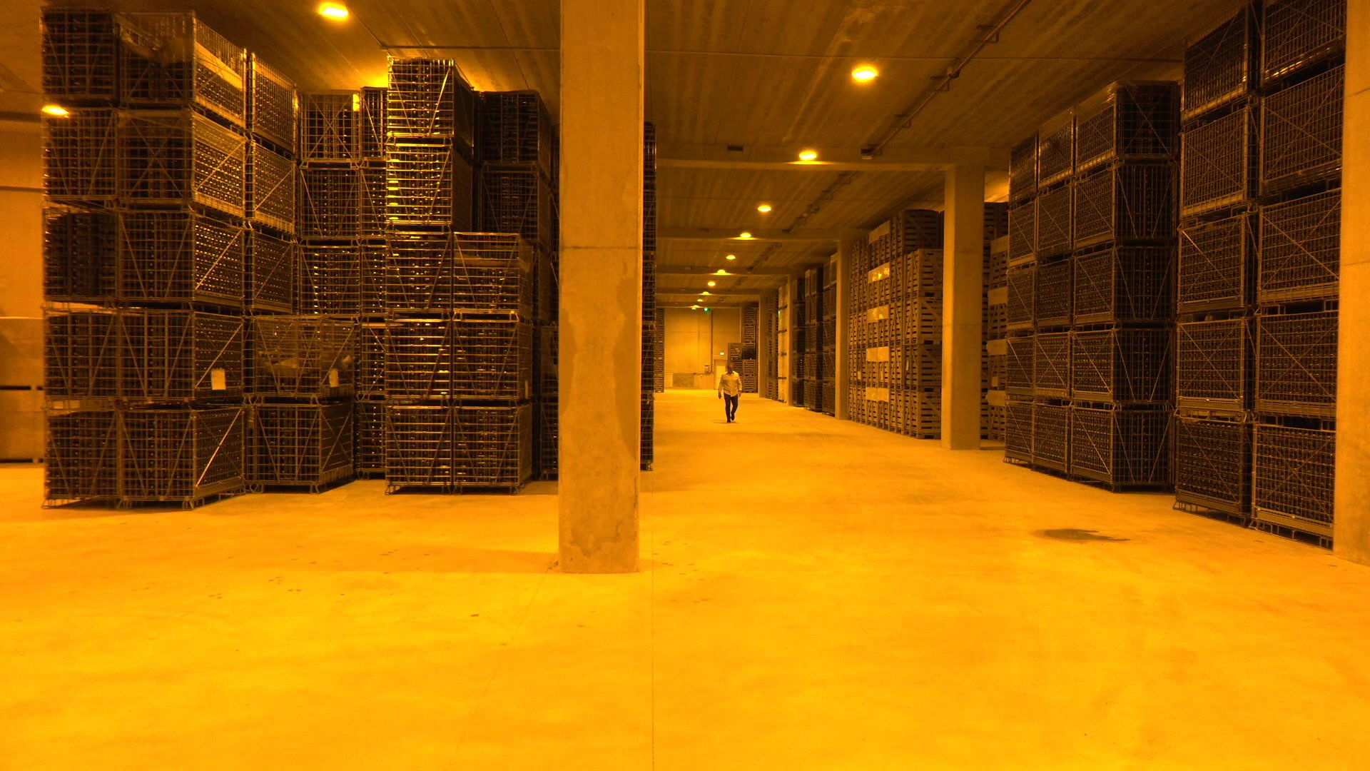 Champagne de Barfontarc modernise son outil de production
