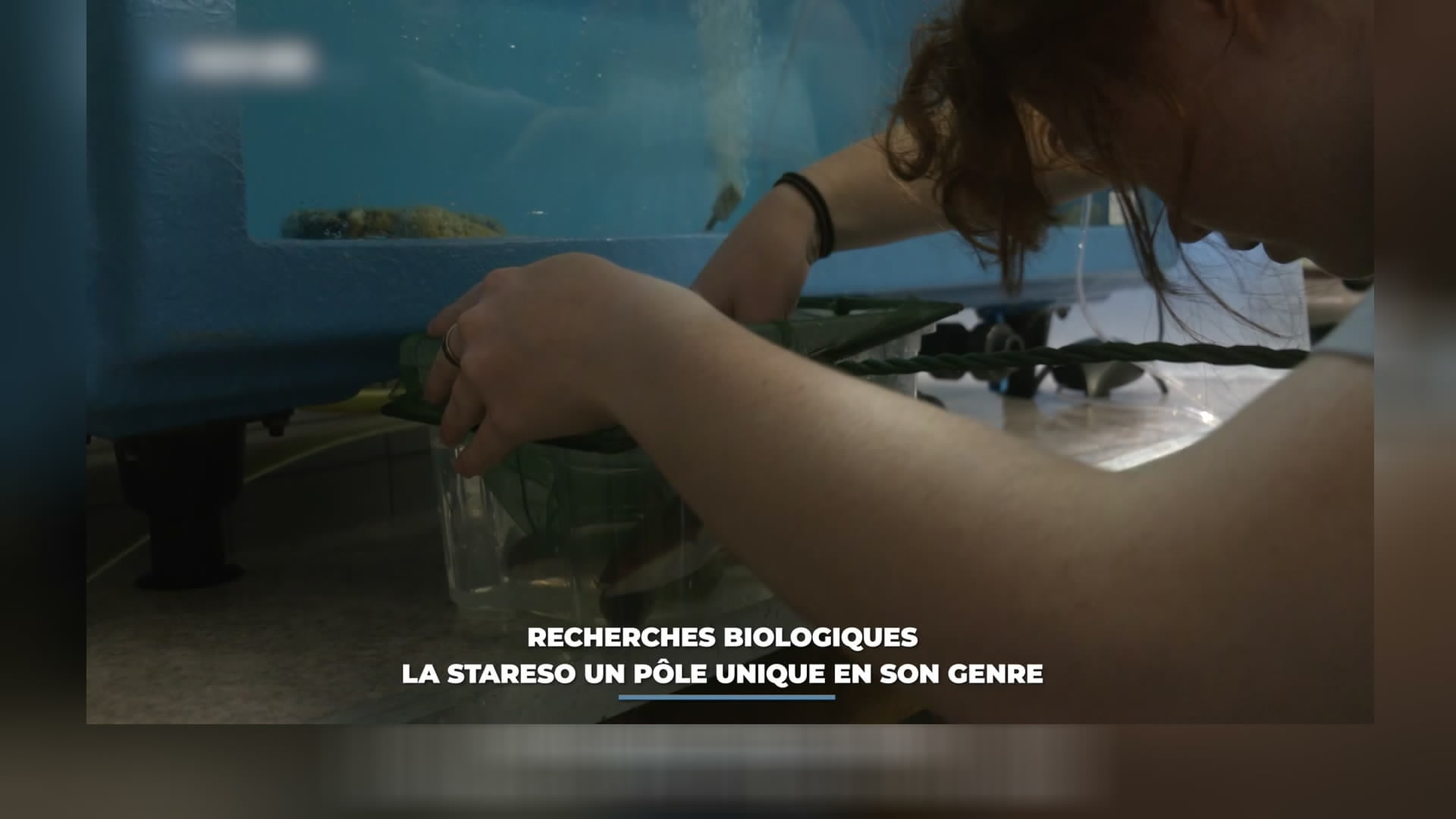 image-logo représentant le programme Le Grand JT des Territoires : Le Grand JT des Territoires du samedi 3 octobre 2026
