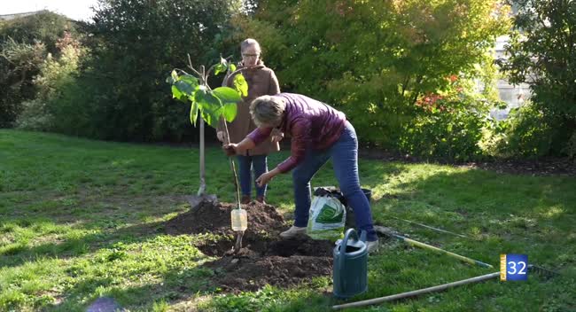 image-logo représentant le programme Le Jardin de Nathalie : Le Jardin de Nathalie : plantez un plaqueminier (kaki)